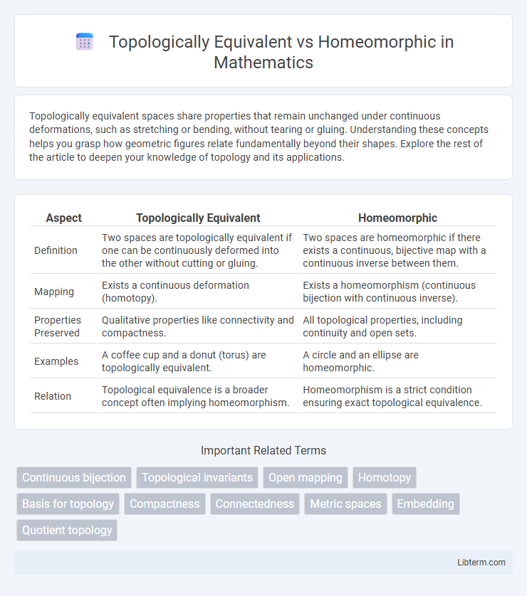 Homeomorphic vs Topologically Equivalent in Mathematics - What is The Difference?