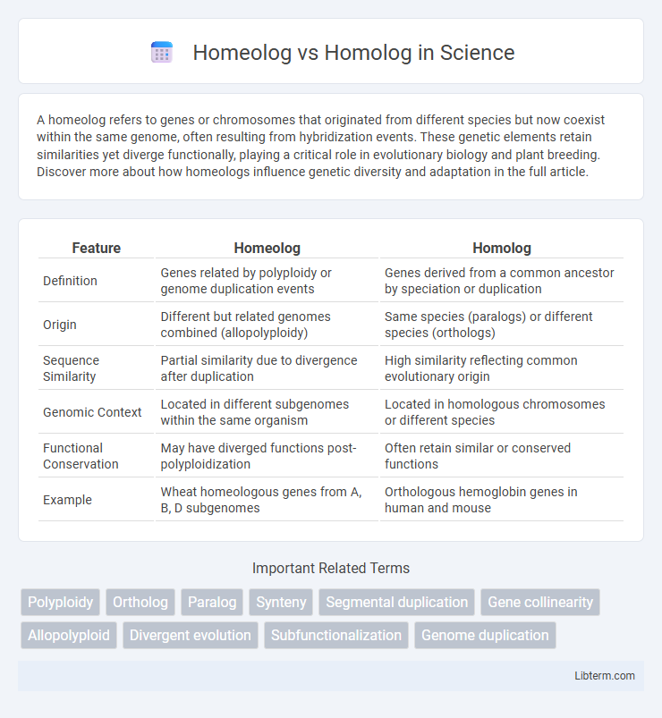 Homolog vs Homeolog in Science - What is The Difference?