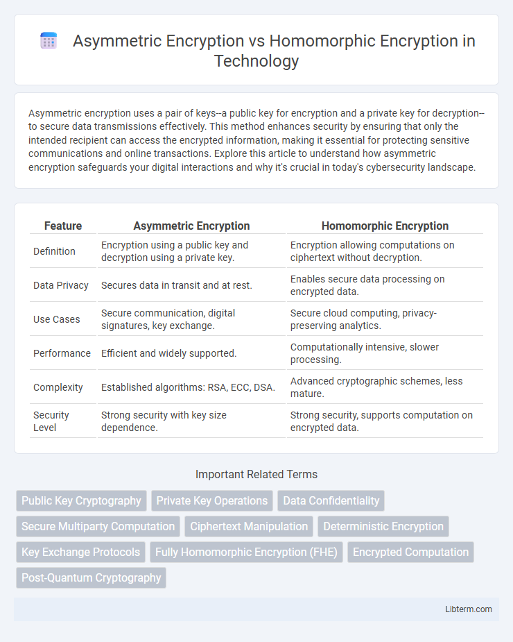 Homomorphic Encryption vs Asymmetric Encryption in Technology - What is The Difference?