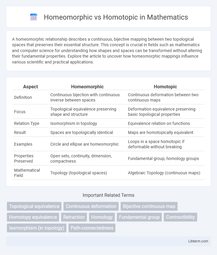 Homotopic vs Homeomorphic in Mathematics - What is The Difference?