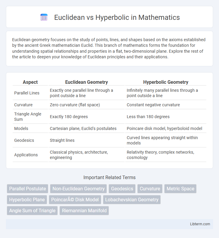 Hyperbolic vs Euclidean in Mathematics - What is The Difference?