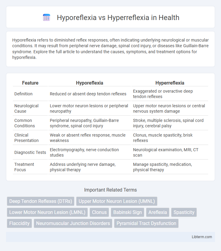 Hyperreflexia vs Hyporeflexia in Health - What is The Difference?