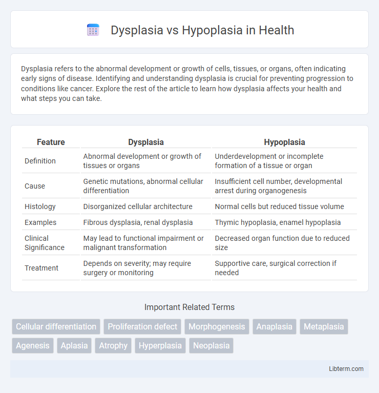 Hypoplasia vs Dysplasia in Health - What is The Difference?