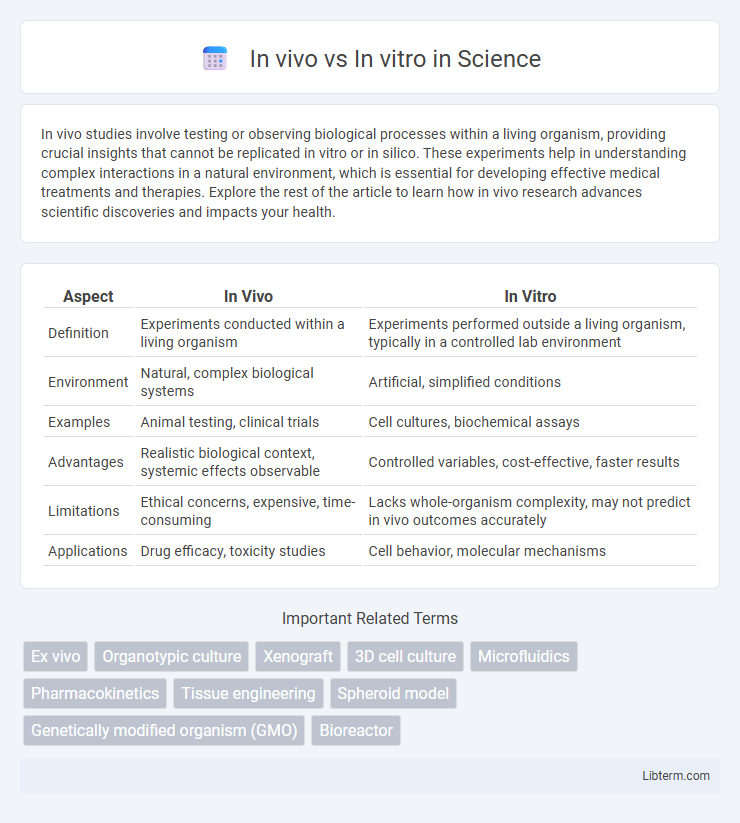 In vitro vs In vivo in Science - What is The Difference?