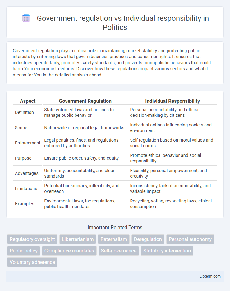 Individual responsibility vs Government regulation in Politics - What is The Difference?