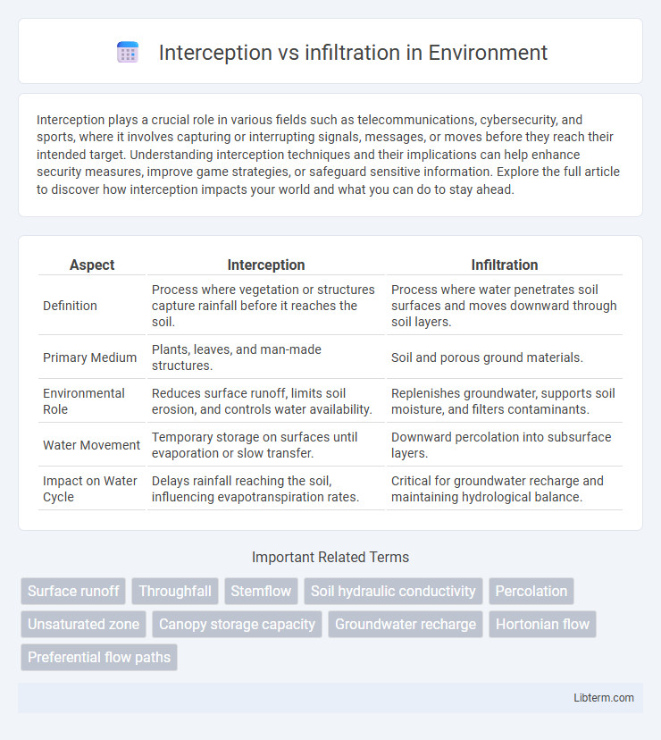 infiltration vs Interception in Environment - What is The Difference?