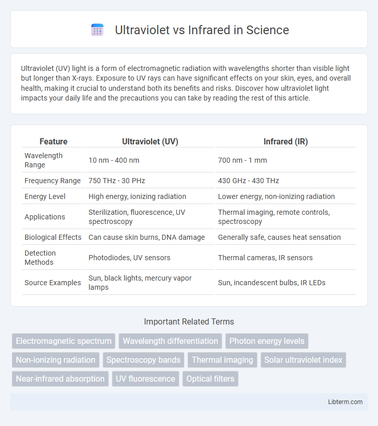 Infrared vs Ultraviolet in Science - What is The Difference?