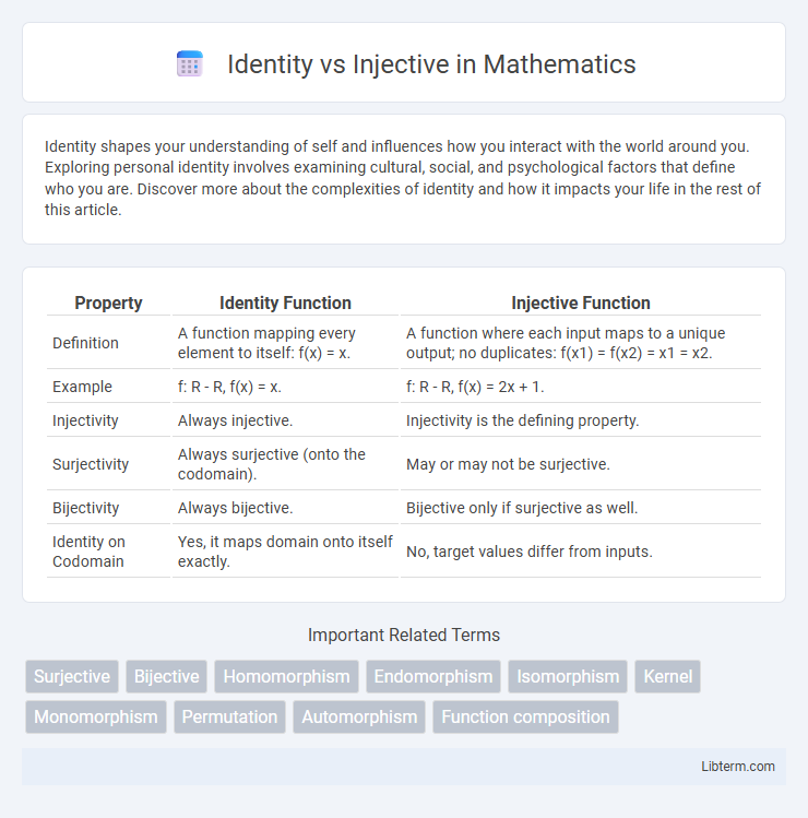 Injective vs Identity in Mathematics - What is The Difference?
