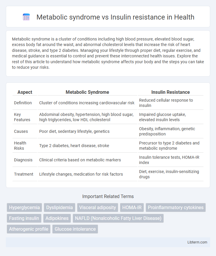 Insulin resistance vs Metabolic syndrome in Health - What is The Difference?