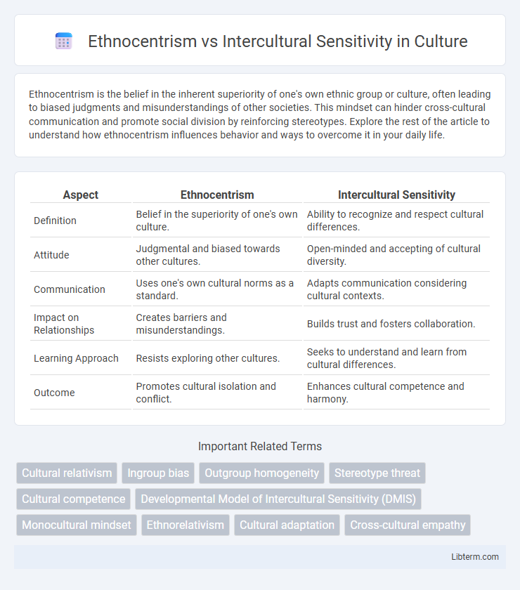 Intercultural Sensitivity vs Ethnocentrism in Culture - What is The Difference?