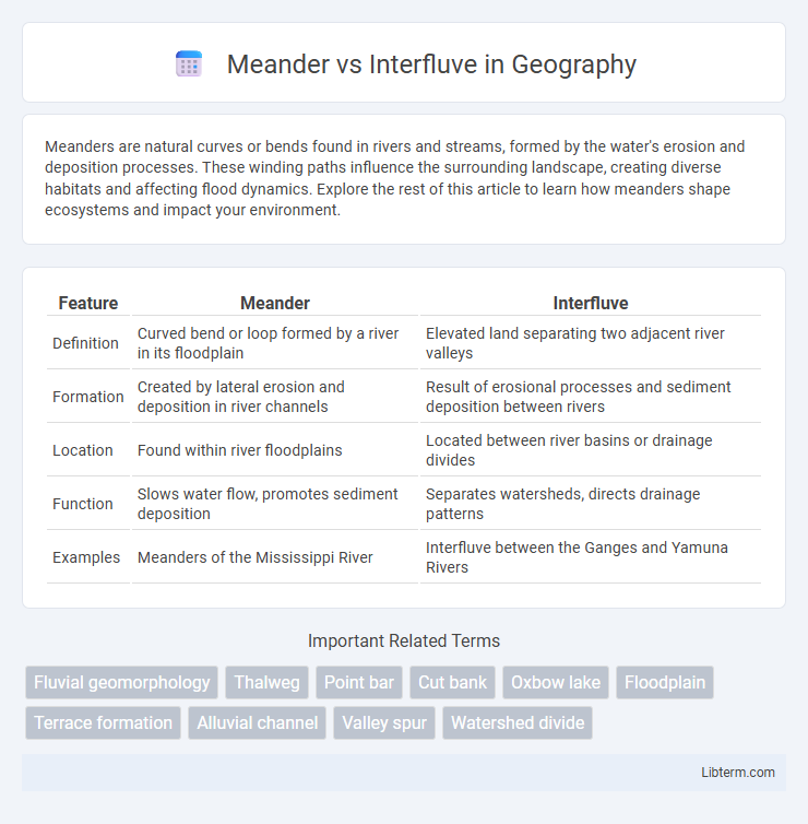 Interfluve vs Meander in Geography - What is The Difference?