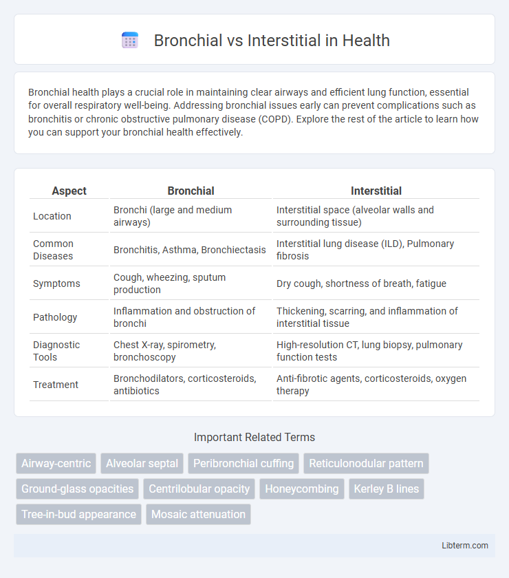 Interstitial vs Bronchial in Health - What is The Difference?