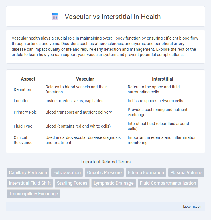 Interstitial vs Vascular in Health - What is The Difference?