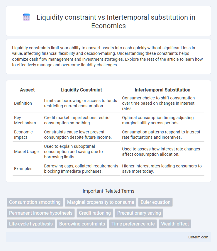 Intertemporal substitution vs Liquidity constraint in Economics - What is The Difference?