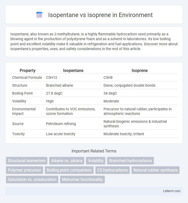 isoprene vs Isopentane in Environment - What is The Difference?
