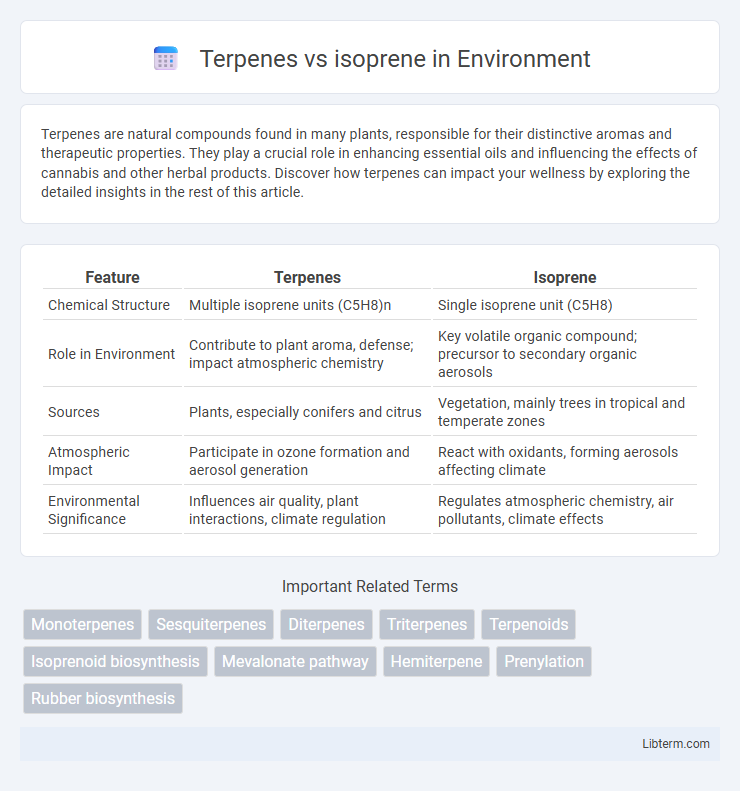 isoprene vs Terpenes in Environment - What is The Difference?
