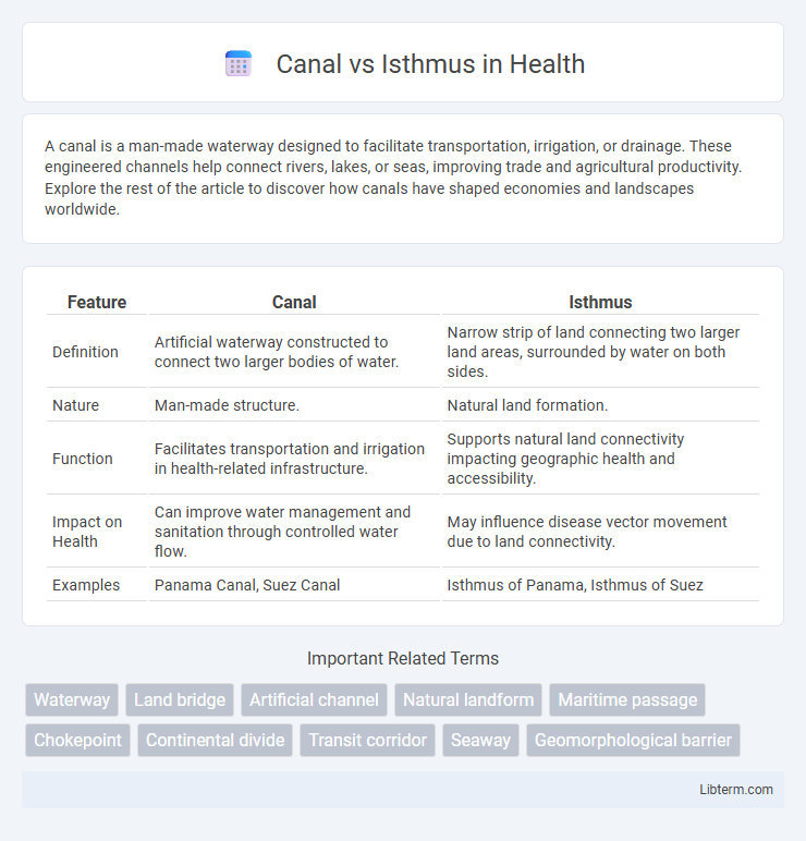 Isthmus vs Canal in Health - What is The Difference?