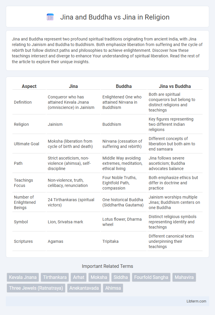 Jina vs Jina and Buddha in Religion - What is The Difference?