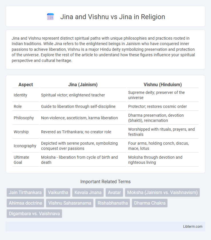 Jina vs Jina and Vishnu in Religion - What is The Difference?