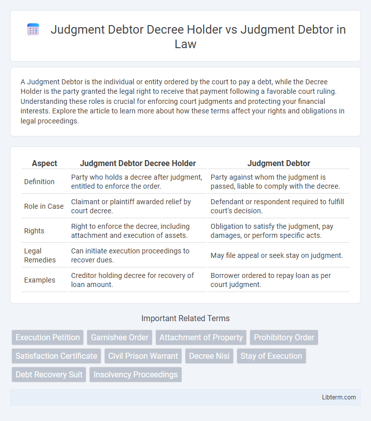 Judgment Debtor vs Judgment Debtor Decree Holder in Law - What is The Difference?