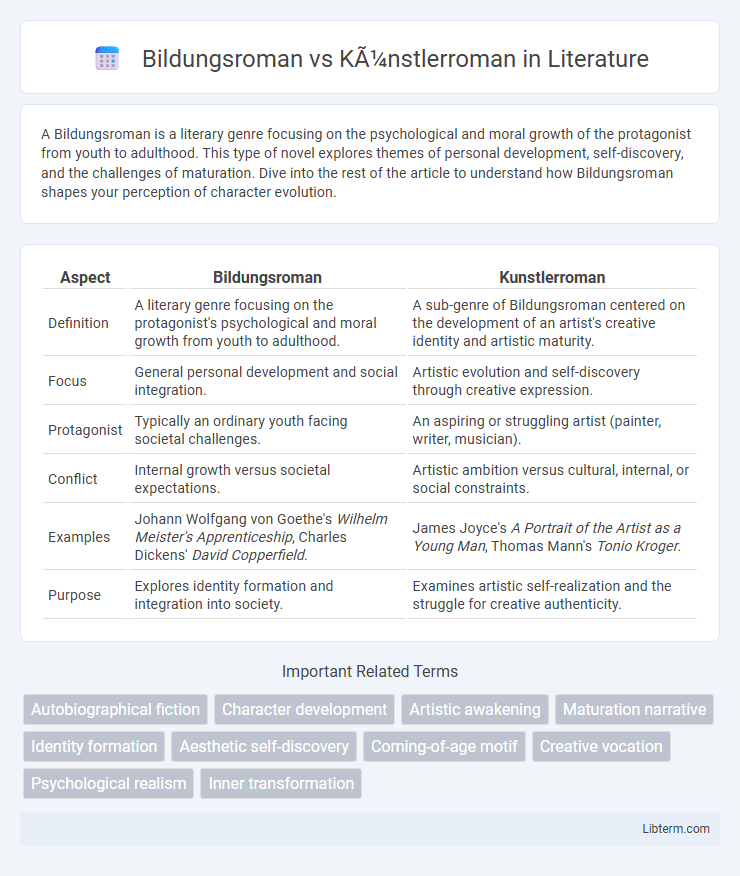 Künstlerroman vs Bildungsroman in Literature - What is The Difference?