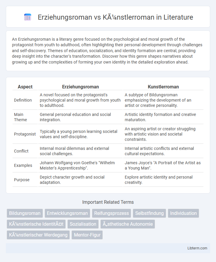 Künstlerroman vs Erziehungsroman in Literature - What is The Difference?
