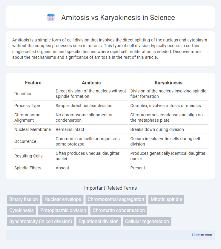 Karyokinesis vs Amitosis in Science - What is The Difference?