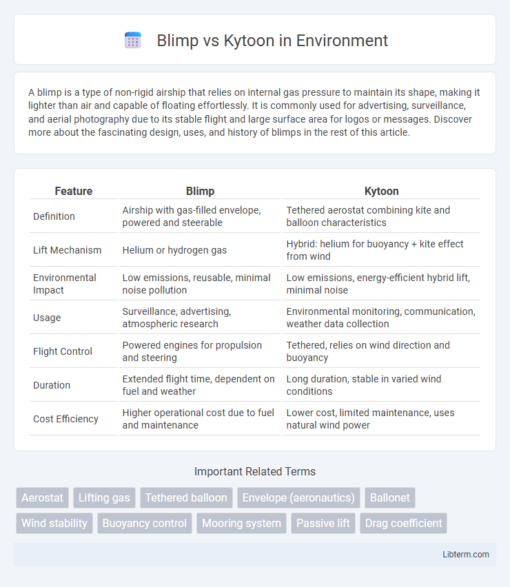 Kytoon vs Blimp in Environment - What is The Difference?