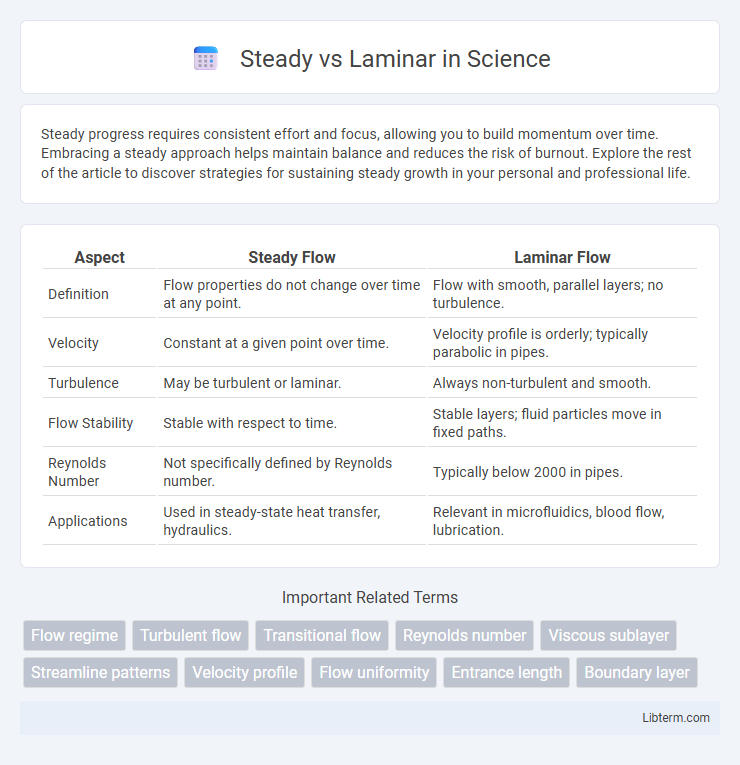 Laminar vs Steady in Science - What is The Difference?