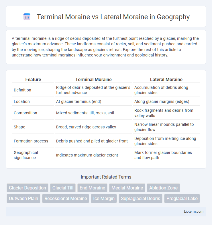 Lateral Moraine vs Terminal Moraine in Geography - What is The Difference?