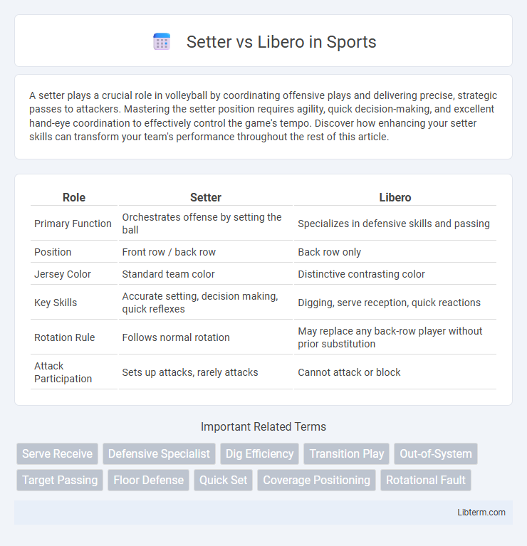 Libero vs Setter in Sports - What is The Difference?