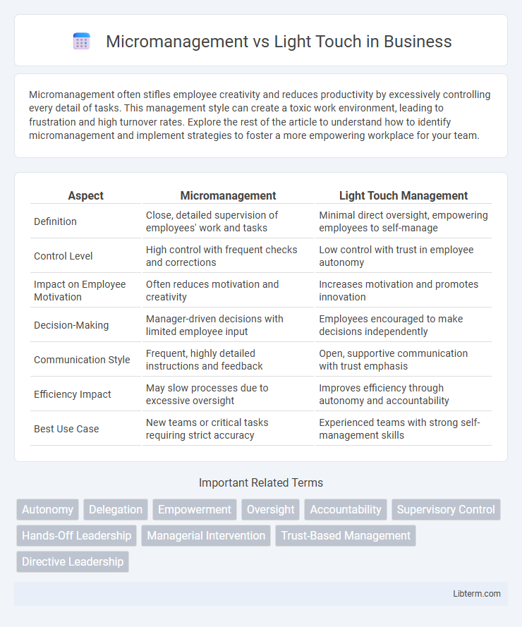Light Touch vs Micromanagement in Business - What is The Difference?