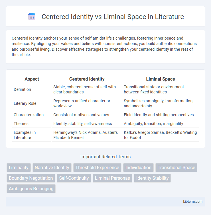 Liminal Space vs Centered Identity in Literature - What is The Difference?
