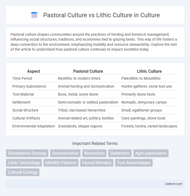 Lithic Culture vs Pastoral Culture in Culture - What is The Difference?