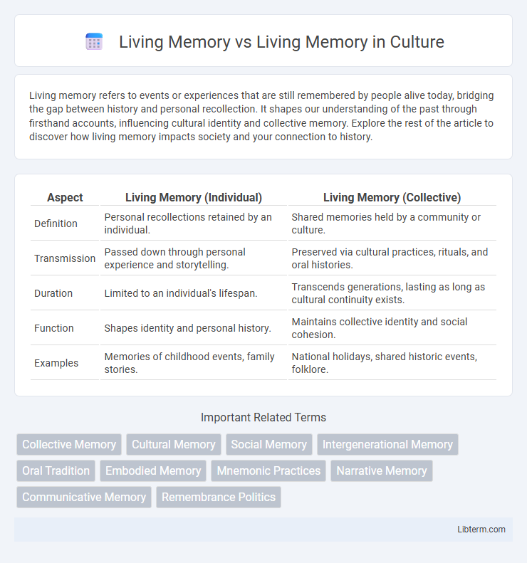 Living Memory vs Living Memory in Culture - What is The Difference?