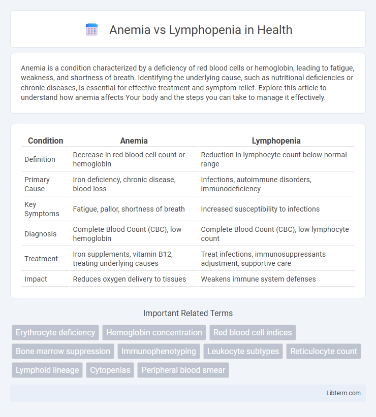 Lymphopenia vs Anemia in Health - What is The Difference?