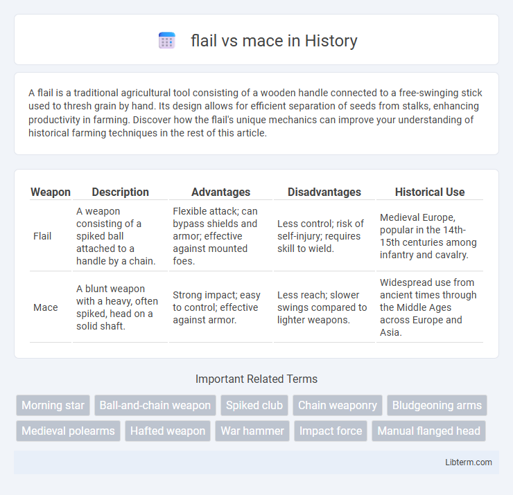 mace vs flail in History - What is The Difference?