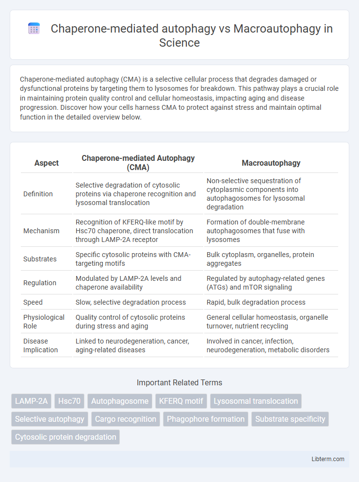 Macroautophagy vs Chaperone-mediated autophagy in Science - What is The Difference?