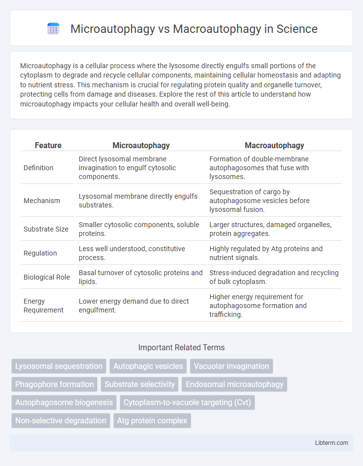 Macroautophagy vs Microautophagy in Science - What is The Difference?