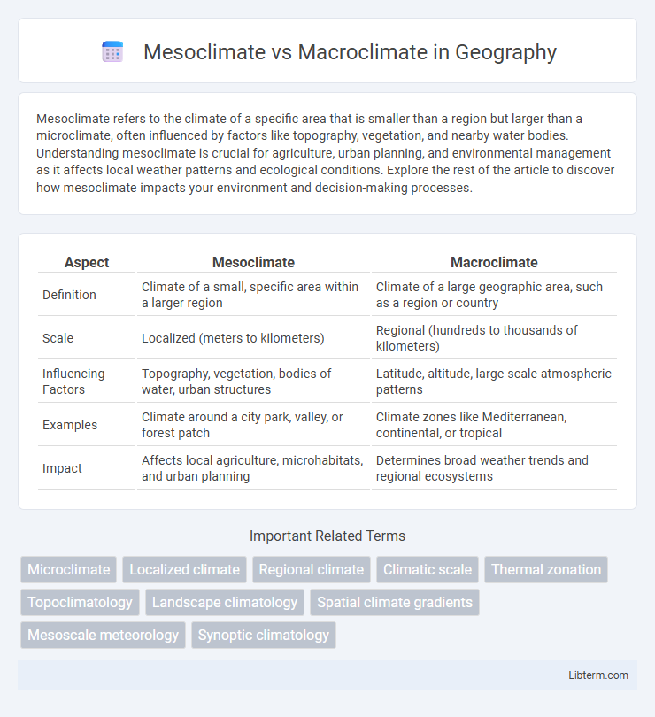 Macroclimate vs Mesoclimate in Geography - What is The Difference?