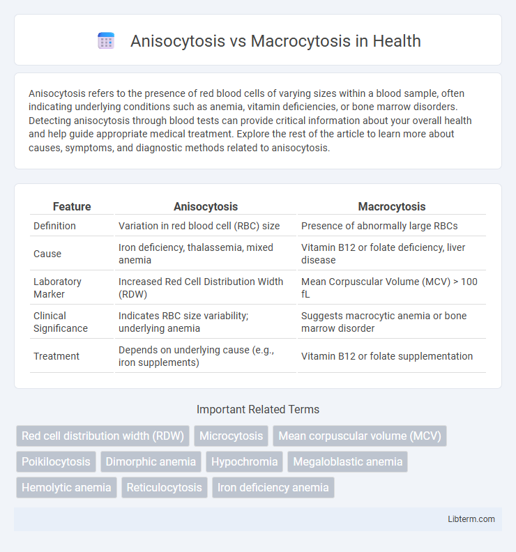 Macrocytosis vs Anisocytosis in Health - What is The Difference?