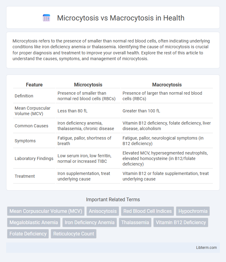 Macrocytosis vs Microcytosis in Health - What is The Difference?