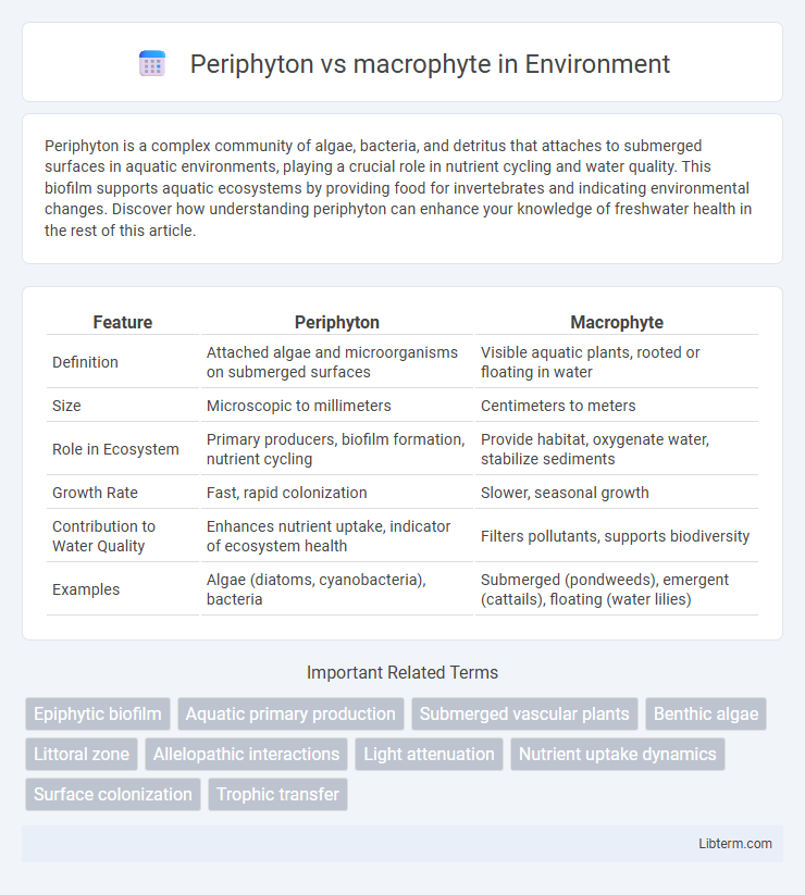 macrophyte vs Periphyton in Environment - What is The Difference?