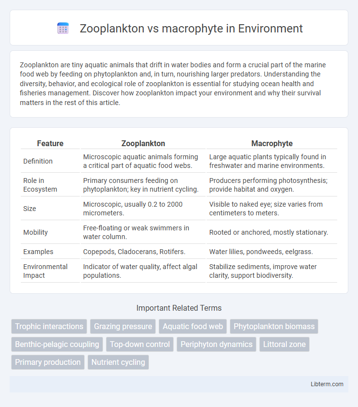 macrophyte vs Zooplankton in Environment - What is The Difference?