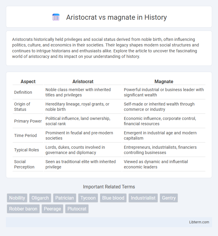 magnate vs Aristocrat in History - What is The Difference?