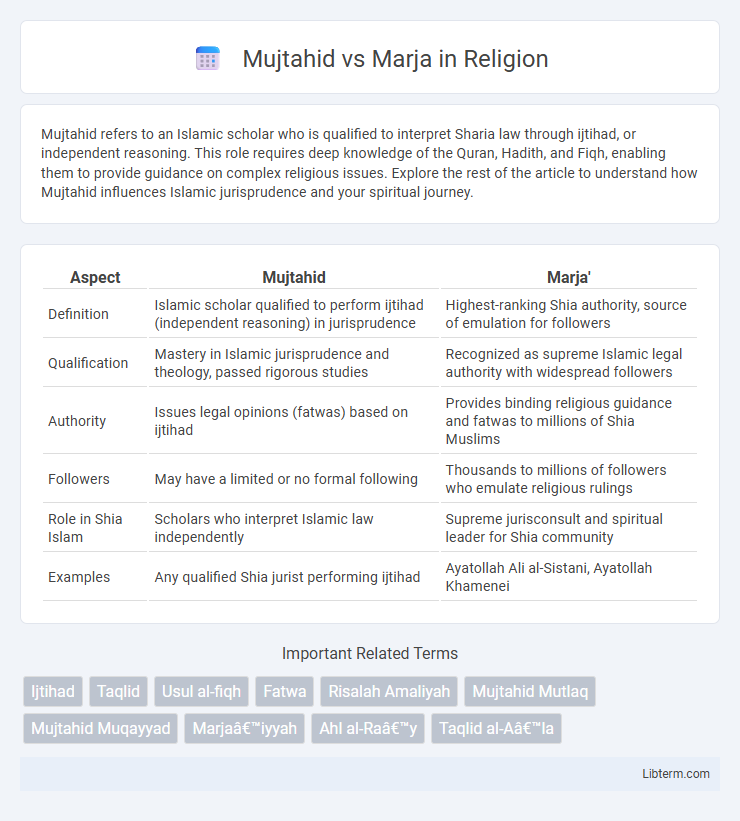 Marja vs Mujtahid in Religion - What is The Difference?