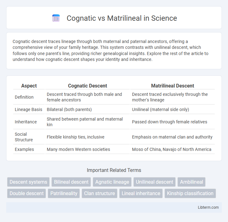 Matrilineal vs Cognatic in Science - What is The Difference?