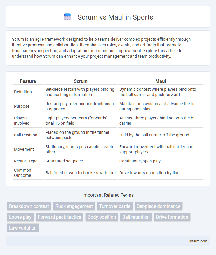 Maul vs Scrum in Sports - What is The Difference?