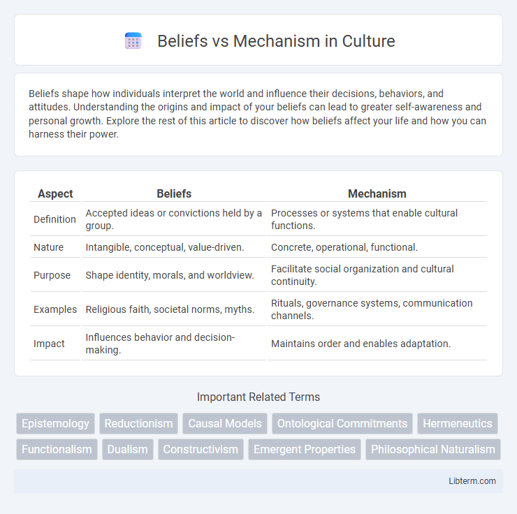 Mechanism vs Beliefs in Culture - What is The Difference?