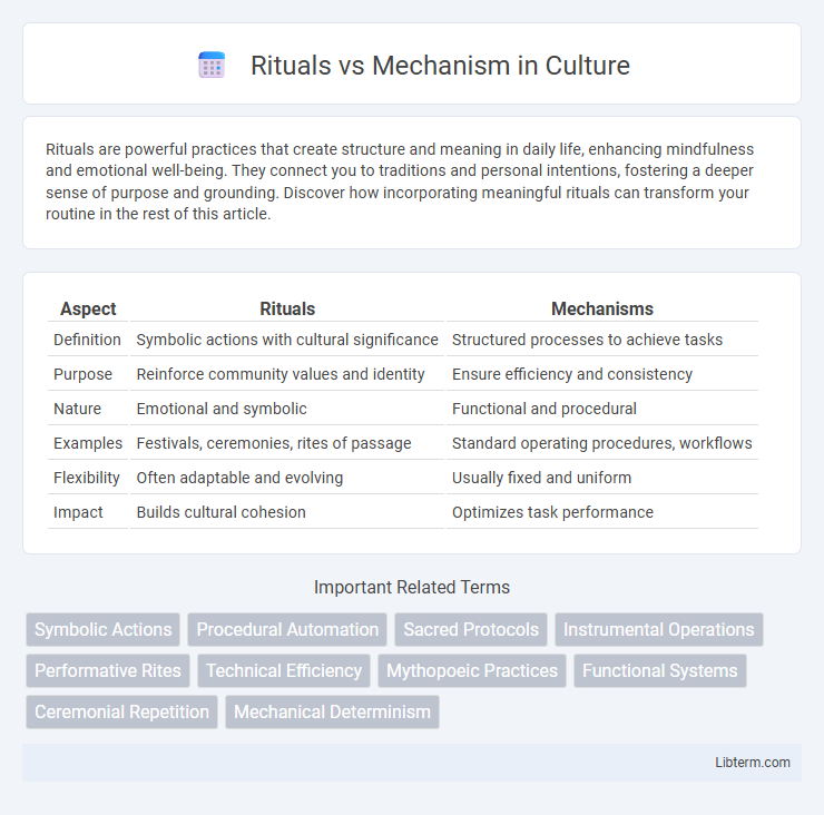 Mechanism vs Rituals in Culture - What is The Difference?